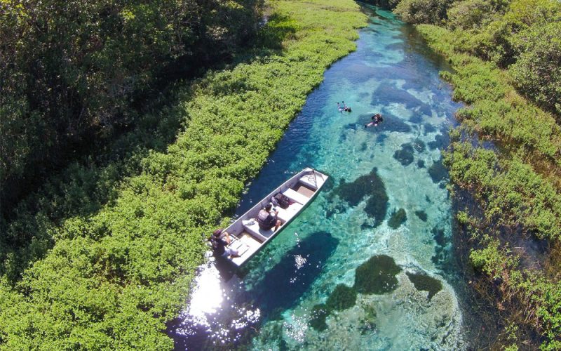 Bonito: Um Destino dos Sonhos